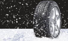 Sjajna izvedba u zimskim uvjetima